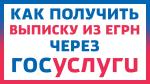 ЗАКАЗАТЬ ВЫПИСКУ ИЗ ЕГРН ЧЕРЕЗ ПОРТАЛ ГОСУСЛУГ.